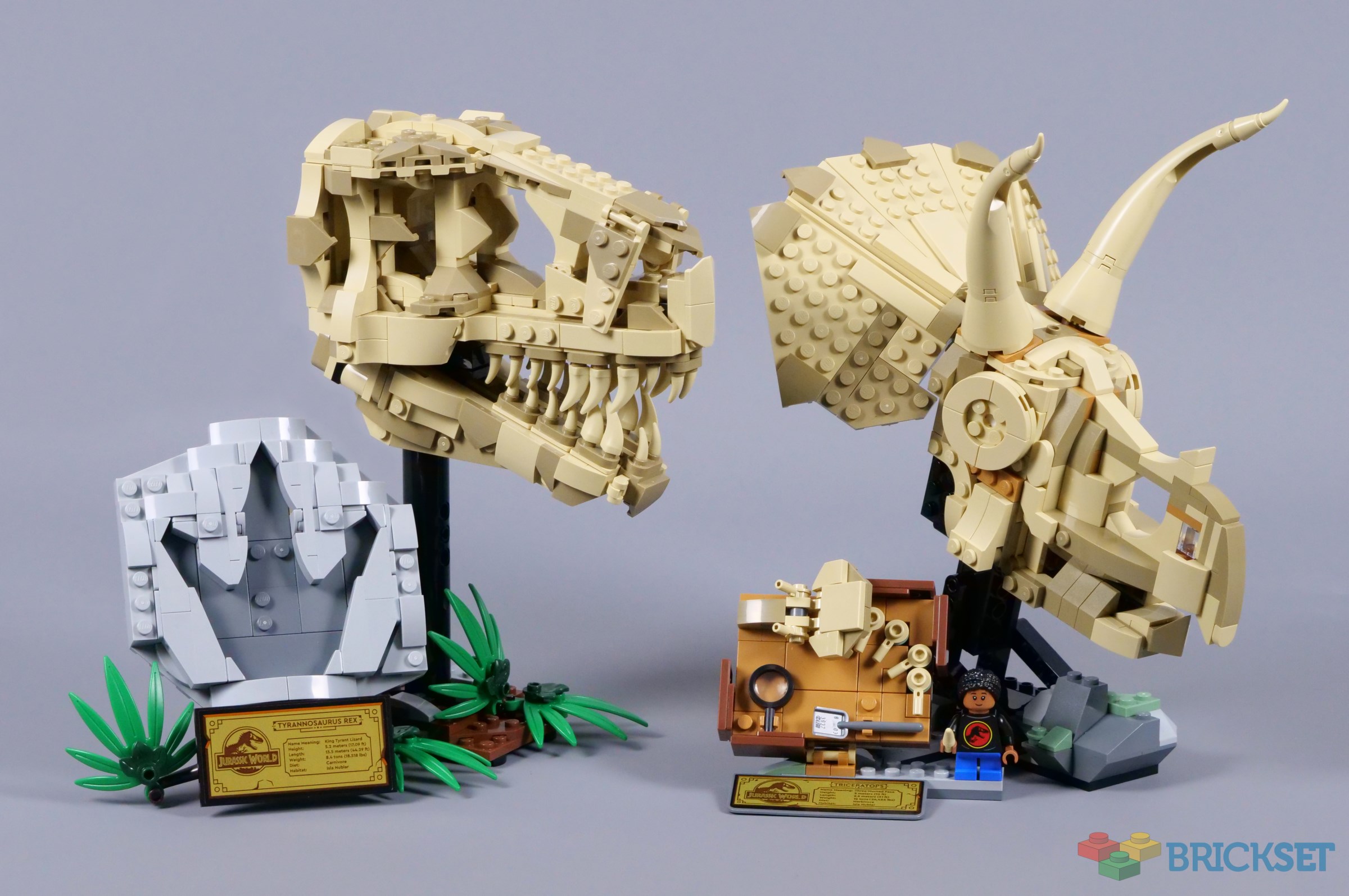 D FORCE VS-50　00X Lego 76969 Jurassic World Dinosaur Fossils: Triceratops